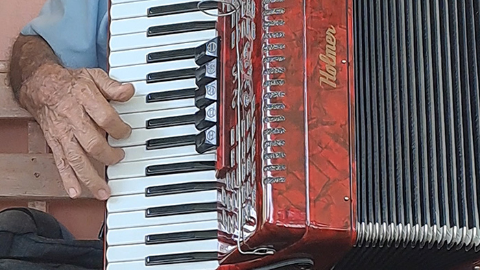 1acordeon opt